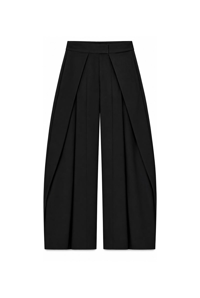 Sample Dark Pleated Pants